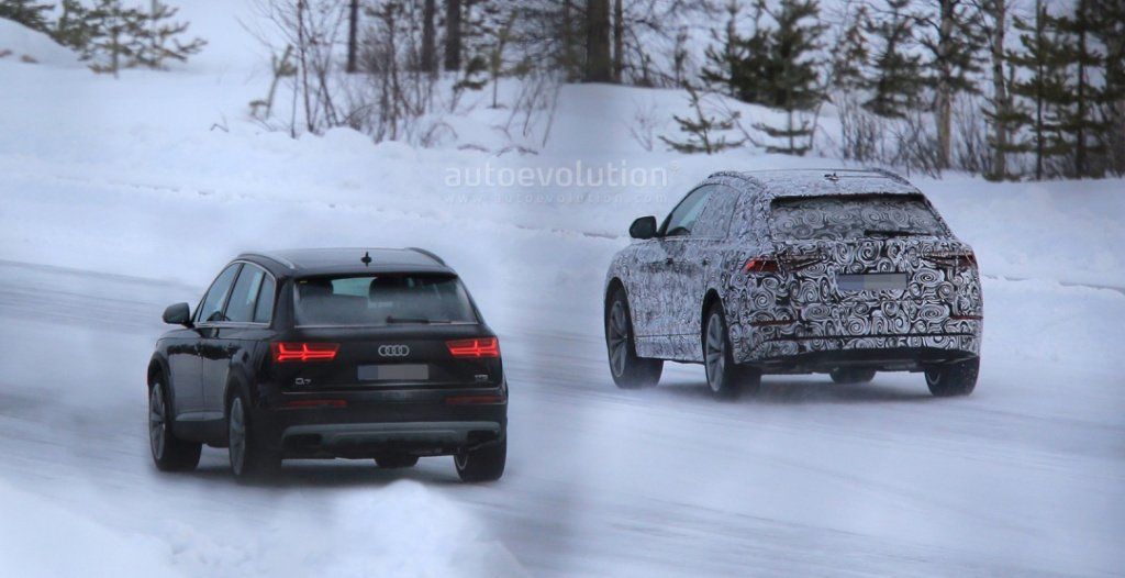 Audi Q8: вид сзади