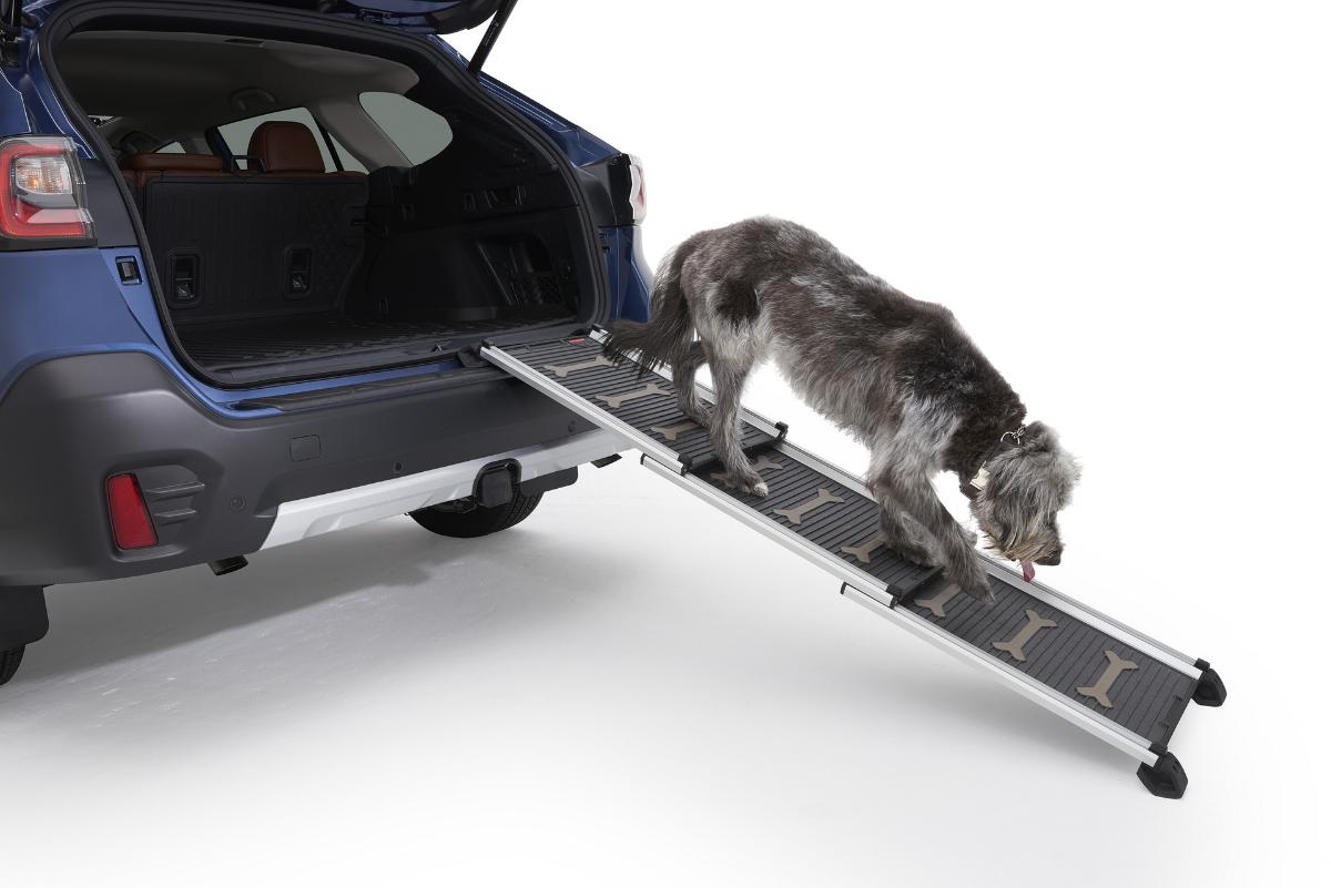 Компания Subaru выпустила новую линию автомобильных аксессуаров для перевозки домашних животных