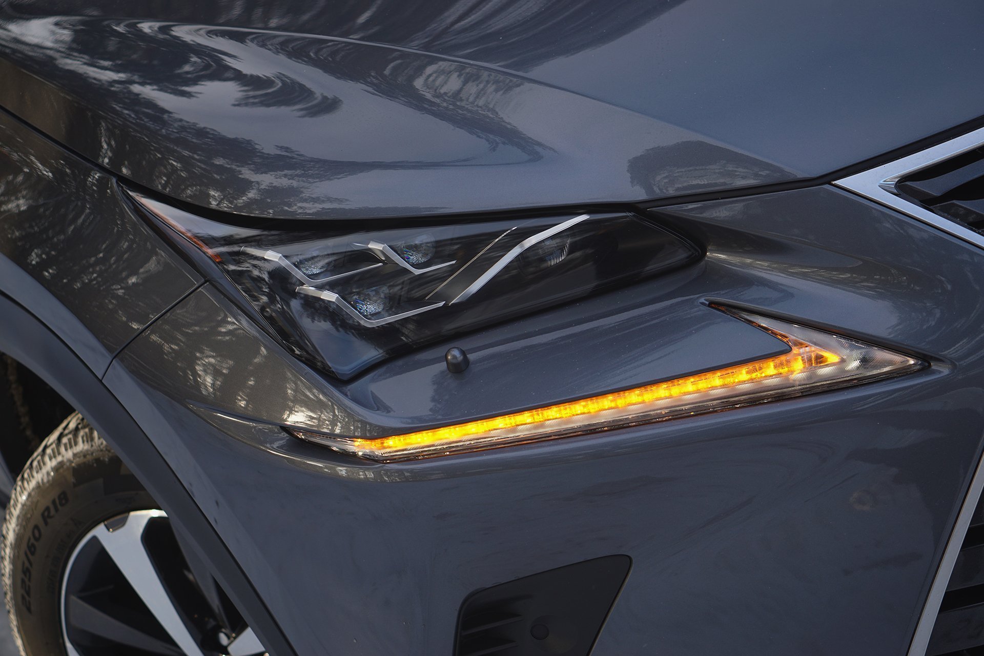Угольник: тест Lexus NX 300 AWD