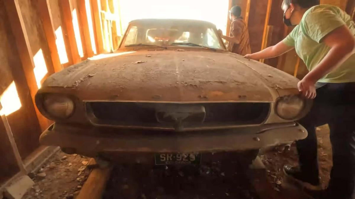 Этот сарай пришлось разобрать, чтобы спасти классический Mustang 1966 года