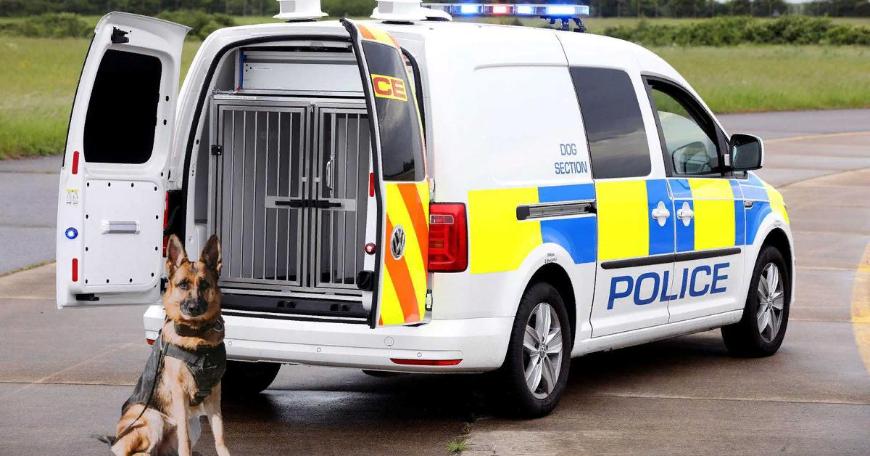 Caddy – полицейский фургон для собак