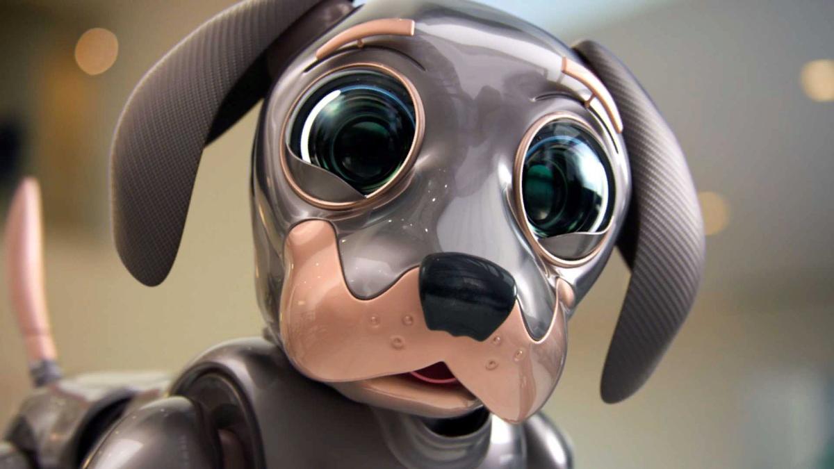 Компания Kia показала симпатичную робо-собаку в рекламе чемпионата Super Bowl 
