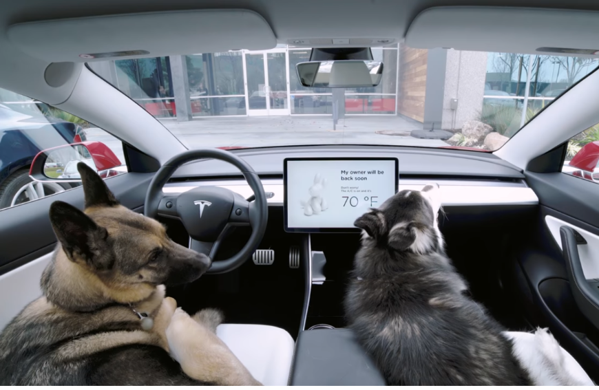 Tesla добавила в свои электромобили специальный режим для собак
