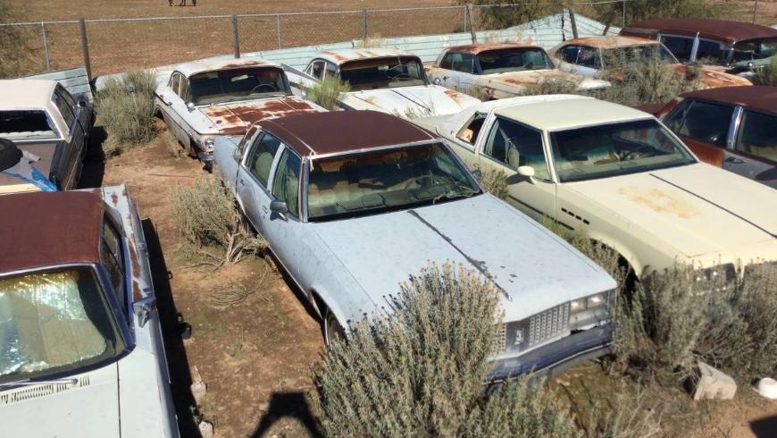 На продажу выставили 29 авто, забытых в пустыне
