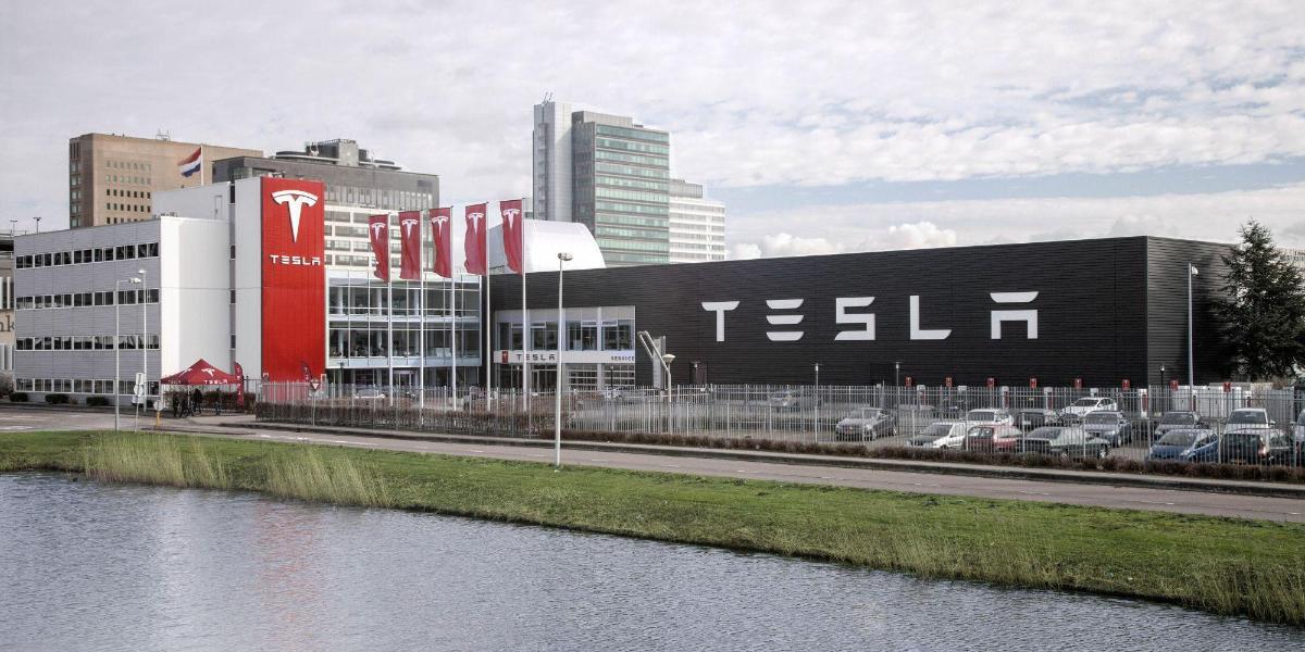 Компания Tesla заняла почти 25% рынка электрокаров по итогам 2020 года