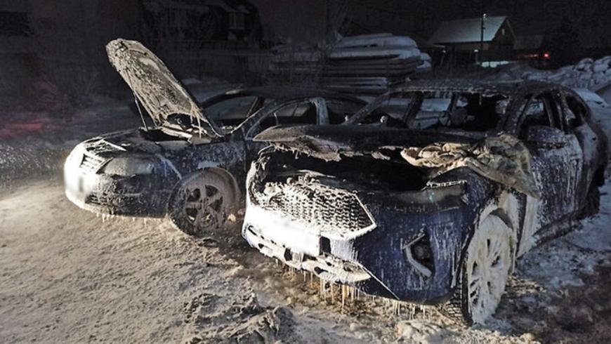 В МЧС рассказали, как часто в РФ горели китайские автомобили Haval и Geely за 2020 год