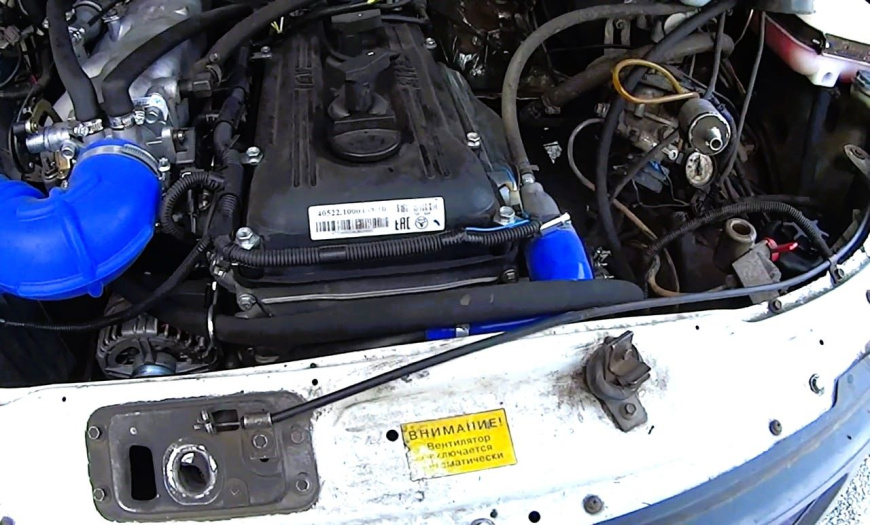 zmz_405.jpg