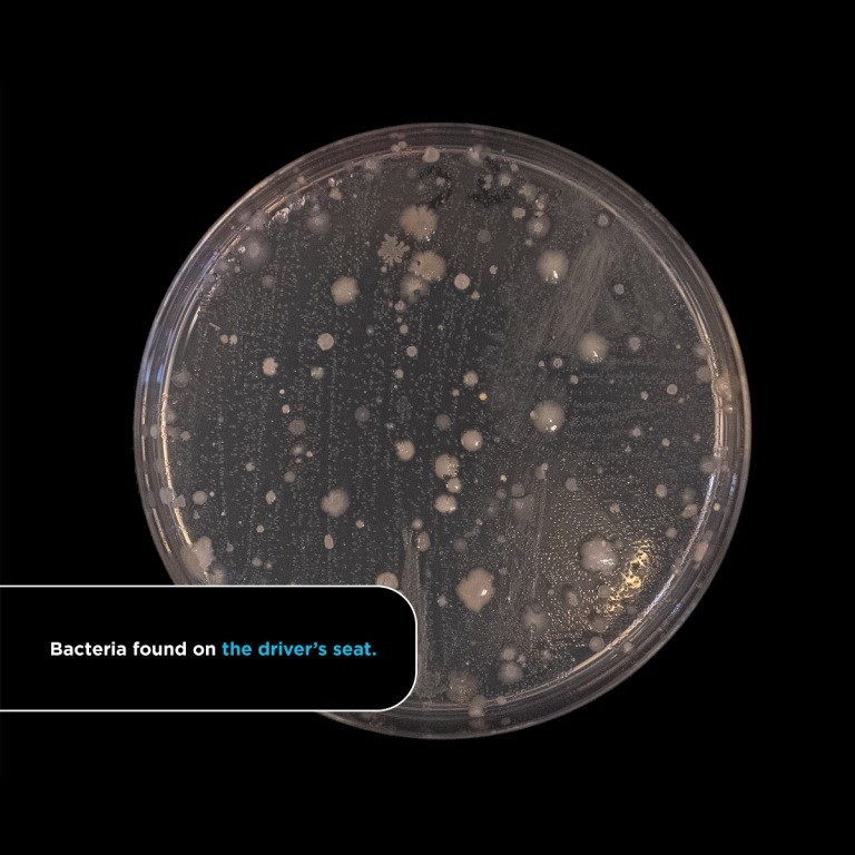 Car-bacteria-study-1.jpg