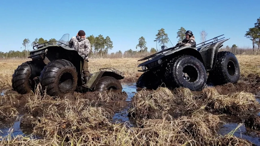 rosomaha_na_bolote.webp rosomaha_na_bolote.webp