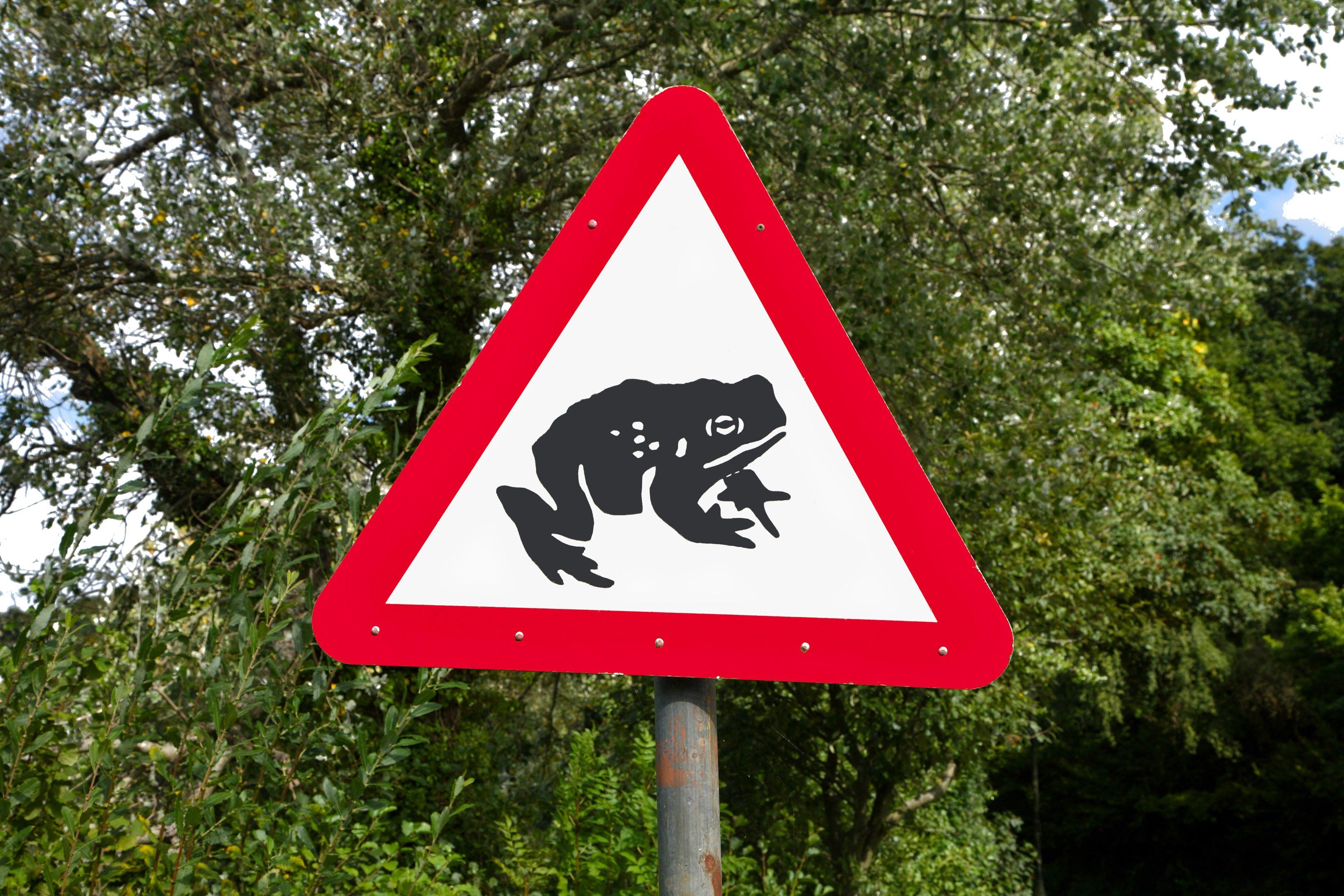 Лягушка лось. Необычные дорожные знаки. Смешные дорожные знаки. Предупреждающие таблички. Смешные предупреждающие знаки.