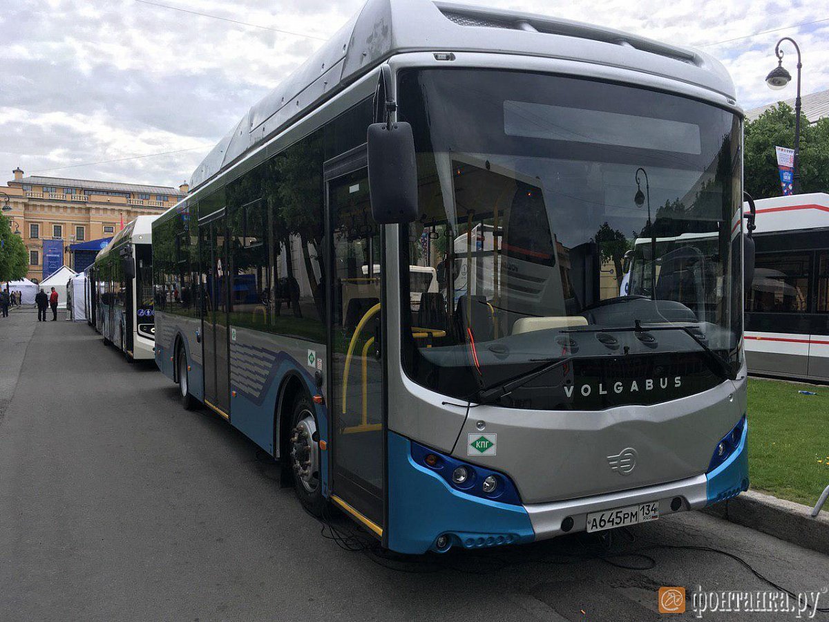 В Питере замечены новые автобусы 