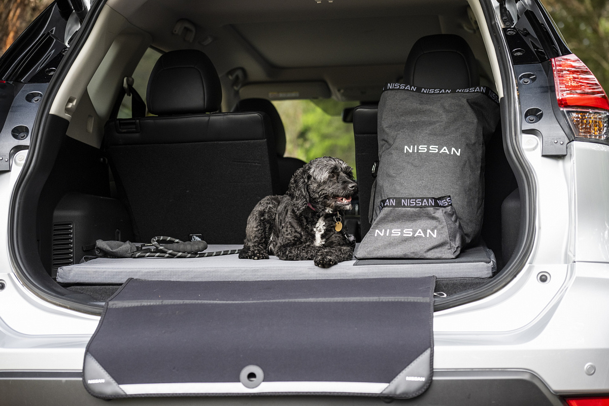 Подразделение Nissan Australia представляет аксессуары для поездок с собаками в автомобиле