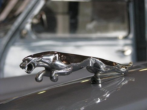 В Jaguar рассекретили название для будущего электрического спорткара