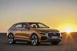 Российские дилеры принимают заказы на новый купеобразный кросс  Audi Q8 