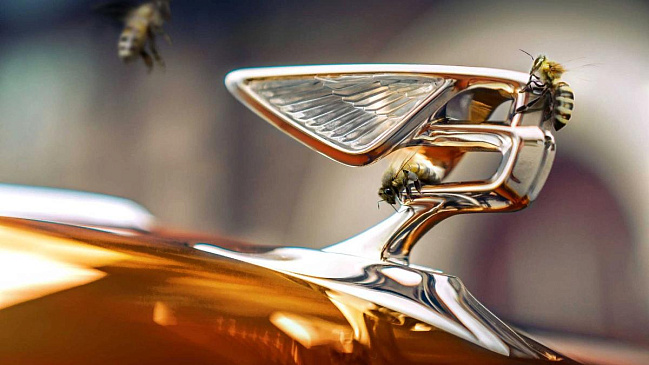 Компании Bentley удалось собрать рекордные 1000 банок меда 