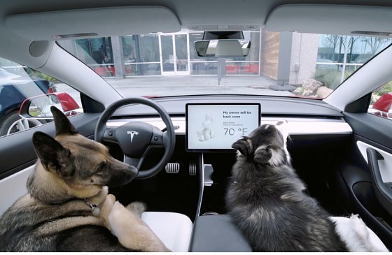 Tesla добавила в свои электромобили специальный режим для собак