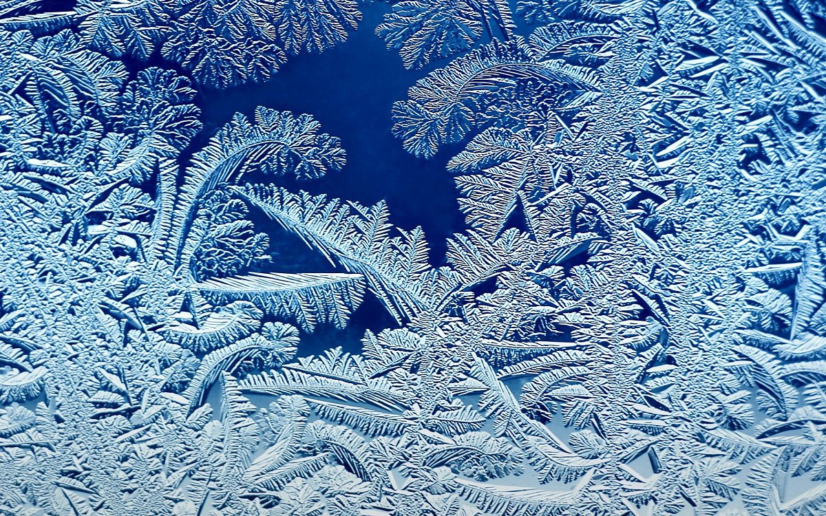 Узор на окне от Мороза елка