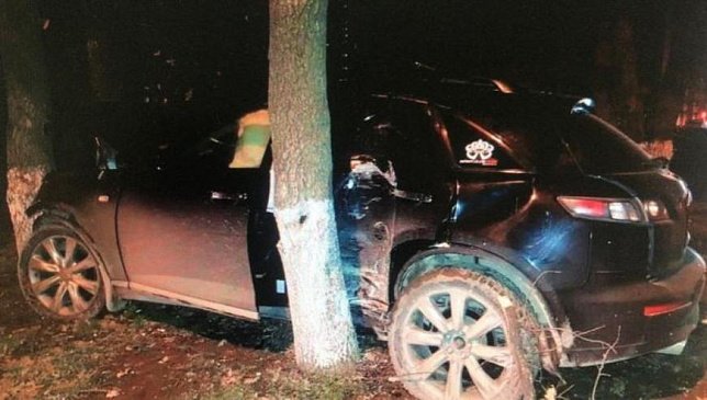 В Краснодаре водитель на скорости врезался в дерево