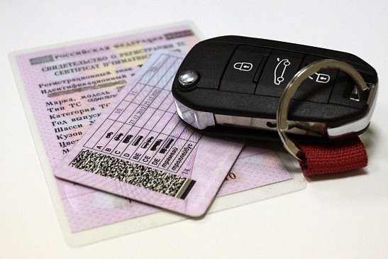 В России появились новые водительские права с микрочипом и QR-кодом