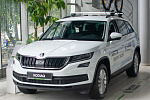 Российский дилер Skoda продает новый кроссовер Kodiaq с велосипедом за 100 тысяч рублей