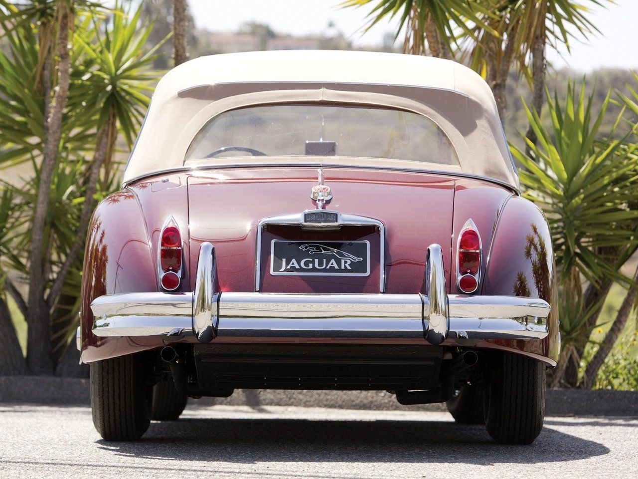 1958 Jaguar Coupe by