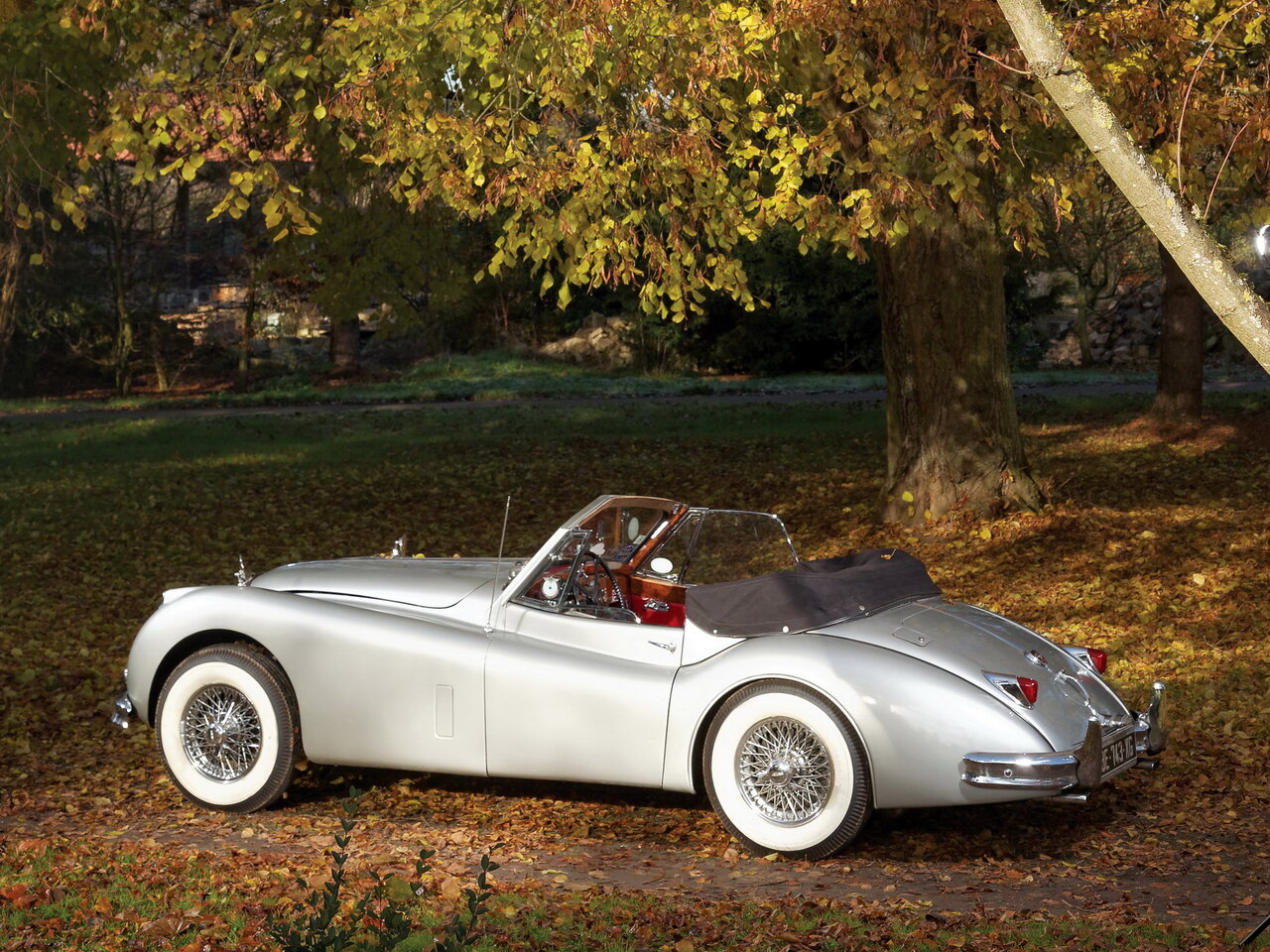 Jaguar xk140 1954